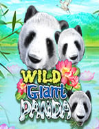 รีวิวสล็อต ฟา โร โอน ผ่าน วอ เลท ไม่มี ขั้นต่ำ เกมส์เด็ด RTP สูงถึง 97.57%