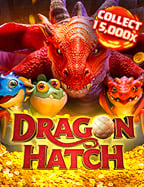 Safari Gold Slot เกมสนุกที่ควรลอง